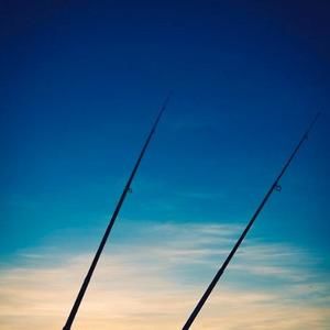 Meet your Posher, Cynda